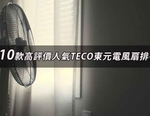 TECO東元電風扇推薦