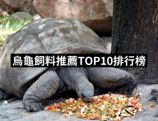 2024烏龜飼料推薦10款高評價烏龜飼料品牌排行 | 好吃美食的八里人