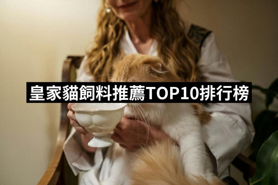 2024皇家貓飼料推薦10款高評價皇家貓飼料品牌排行 | 好吃美食的八里人
