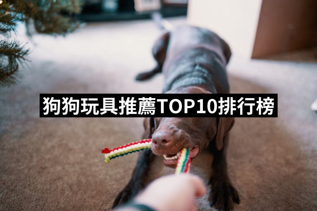 2024狗狗玩具推薦ptt》10款高評價人氣品牌排行榜 | 好吃美食的八里人