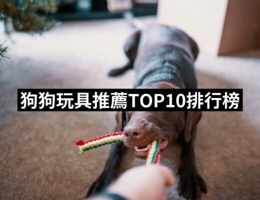 2024狗狗玩具推薦ptt》10款高評價人氣品牌排行榜 | 好吃美食的八里人