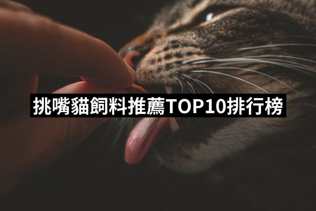 2024挑嘴貓飼料推薦ptt》10款高評價人氣品牌排行榜 | 好吃美食的八里人