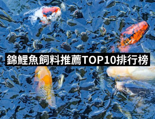 2024錦鯉魚飼料推薦10款高評價錦鯉魚飼料品牌排行 | 好吃美食的八里人