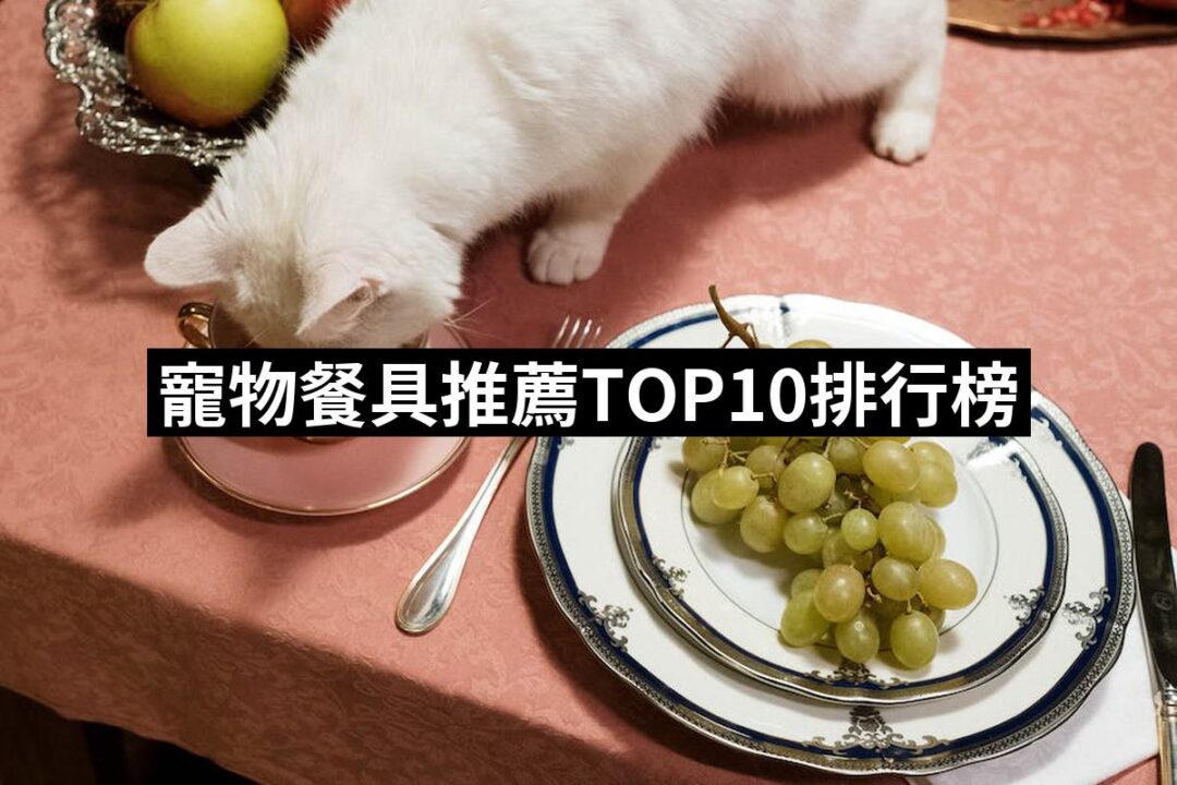 2024寵物餐具推薦10款高評價寵物餐具品牌排行 | 好吃美食的八里人
