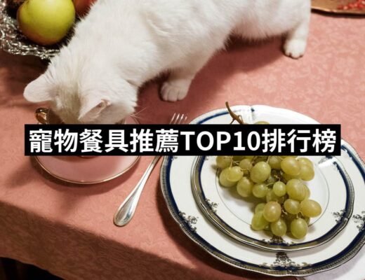 2024寵物餐具推薦10款高評價寵物餐具品牌排行 | 好吃美食的八里人