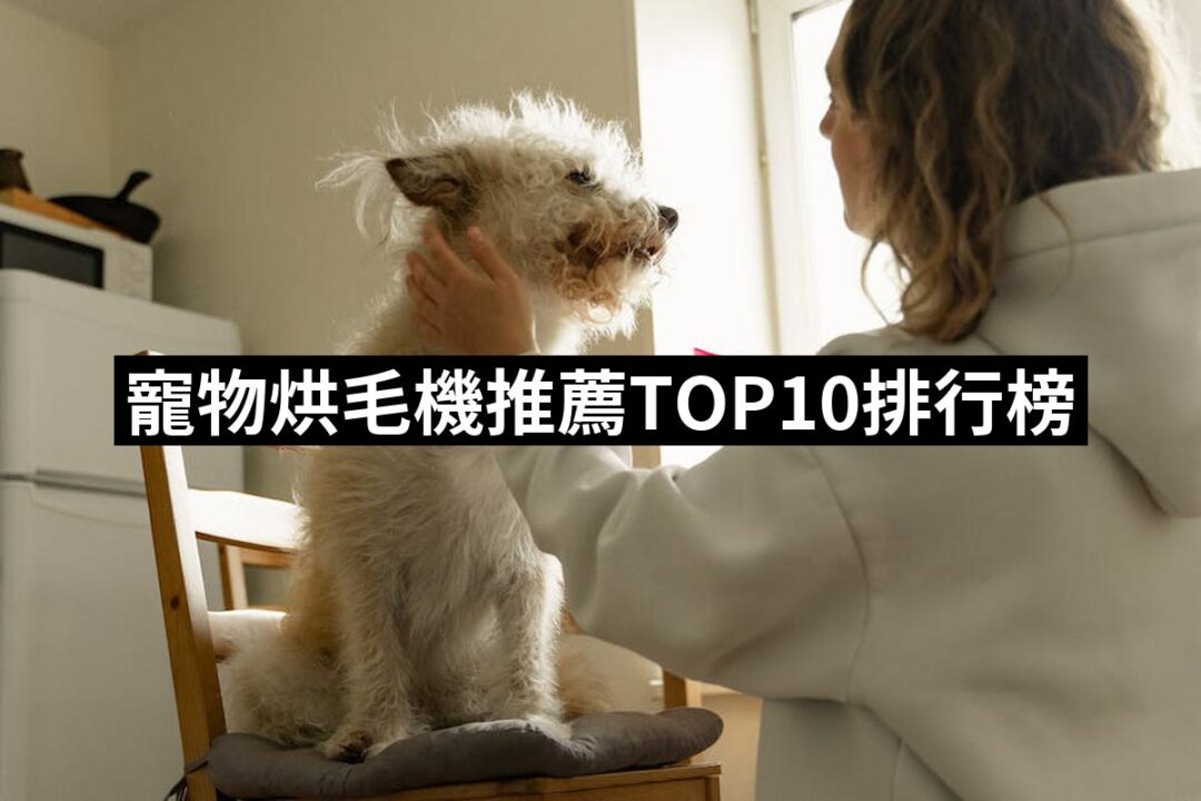 2024寵物烘毛機推薦ptt》10款高評價人氣品牌排行榜 | 好吃美食的八里人