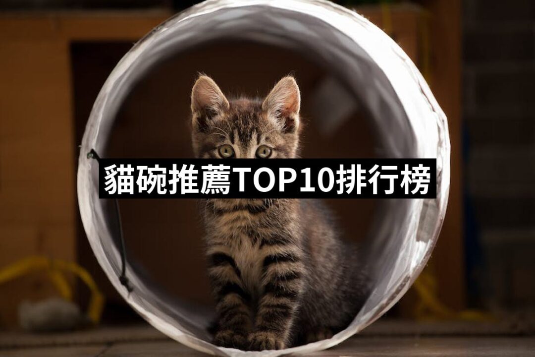 2024貓碗推薦10款高評價人氣品牌排行榜 | 好吃美食的八里人