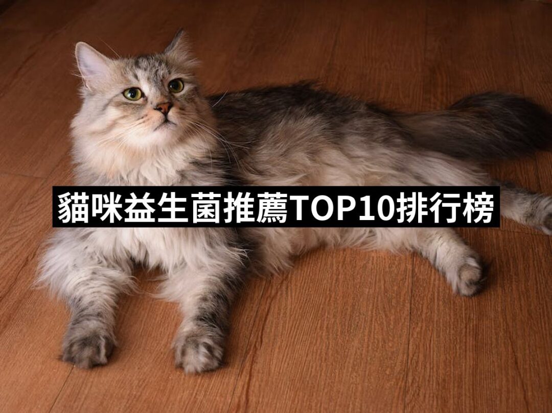 2024貓咪益生菌推薦ptt》10款高評價人氣品牌排行榜 | 好吃美食的八里人