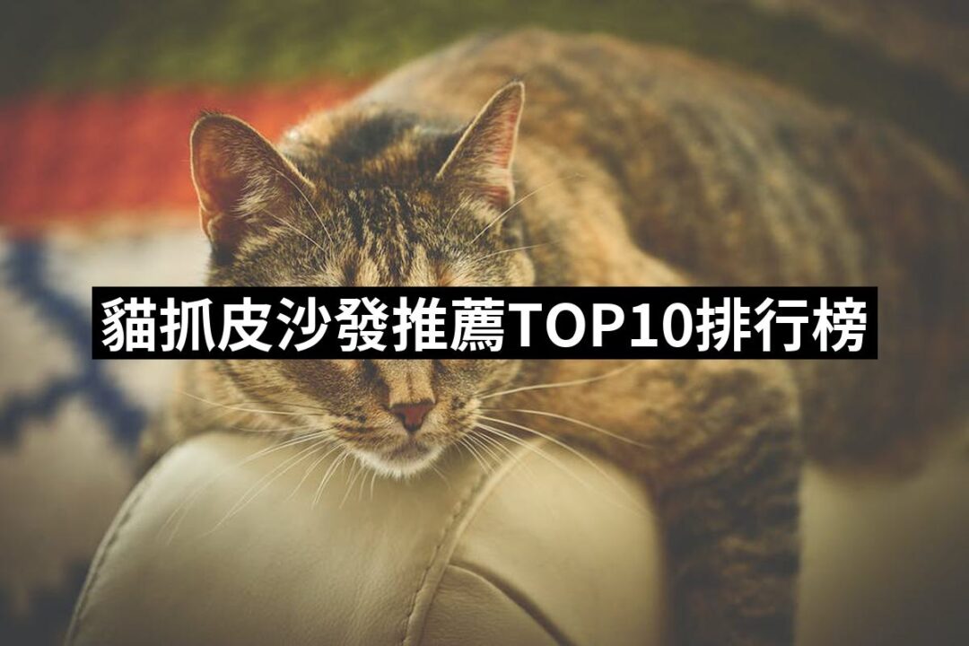 【2024必買】貓抓皮沙發終極推薦清單 | 好吃美食的八里人