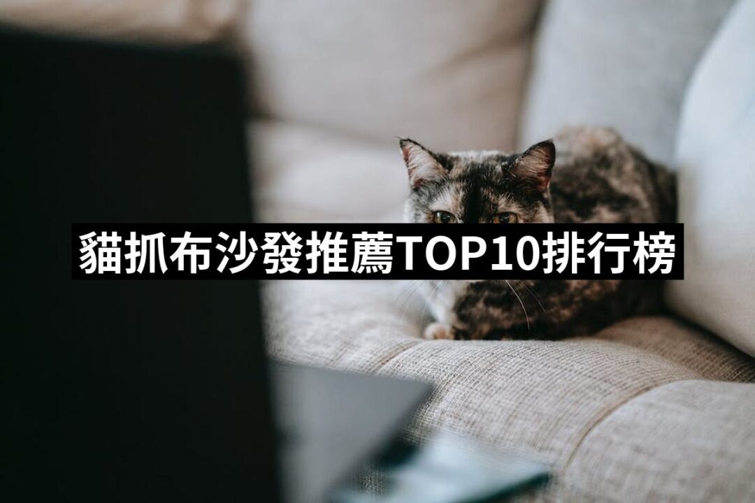 2024貓抓布沙發推薦ptt》10款高評價人氣品牌排行榜 | 好吃美食的八里人