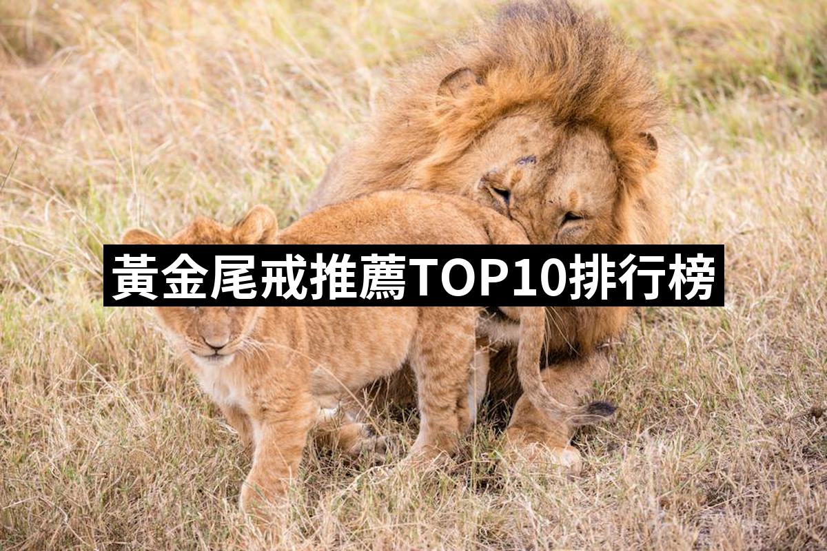 2025】黃金尾戒推薦ptt》10款高評價人氣品牌排行榜| 好吃美食的八里人