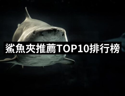2024鯊魚夾推薦ptt》10款高評價人氣品牌排行榜 | 好吃美食的八里人