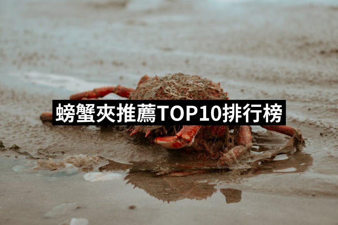 【2024必買】螃蟹夾終極推薦清單 | 好吃美食的八里人