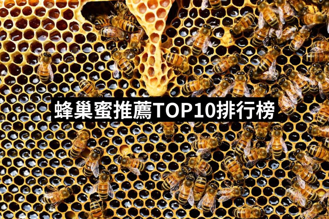 【2024必買】蜂巢蜜終極推薦清單 | 好吃美食的八里人