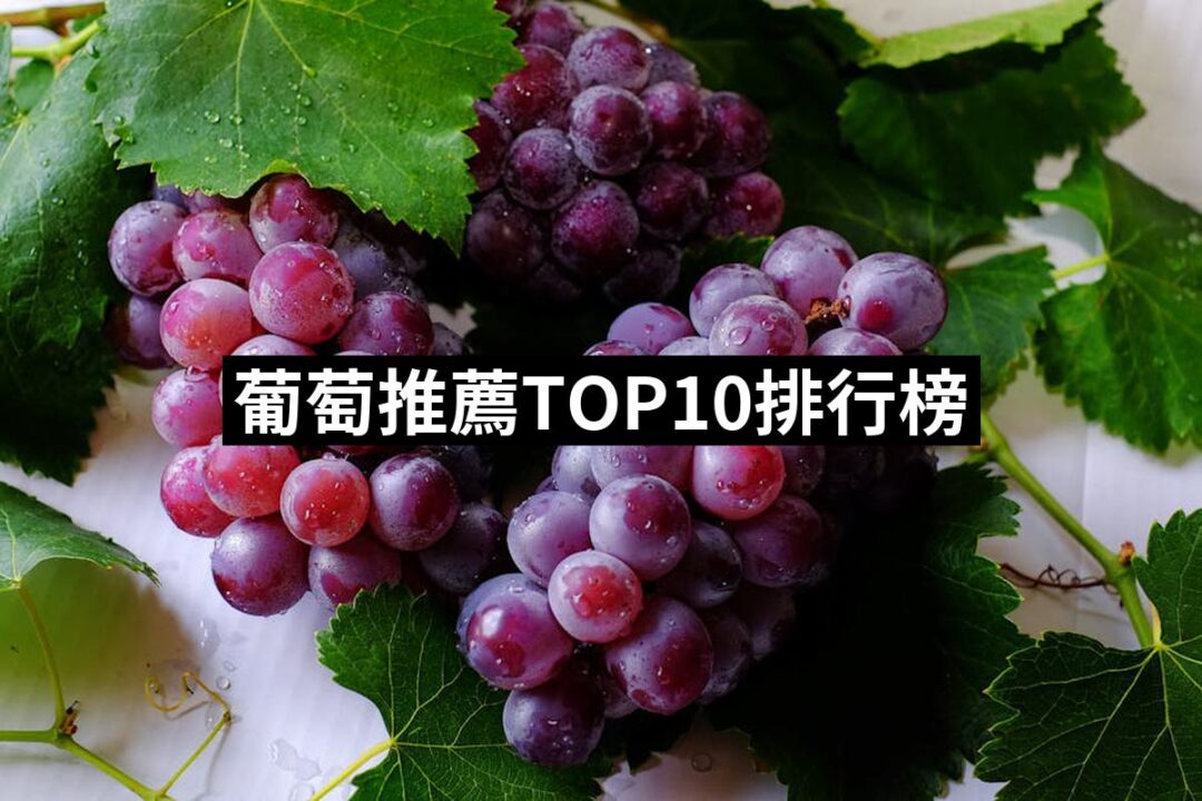 2024葡萄推薦10款高評價葡萄品牌排行 | 好吃美食的八里人