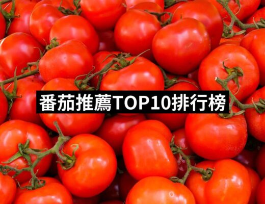 2024番茄推薦ptt》10款高評價人氣品牌排行榜 | 好吃美食的八里人