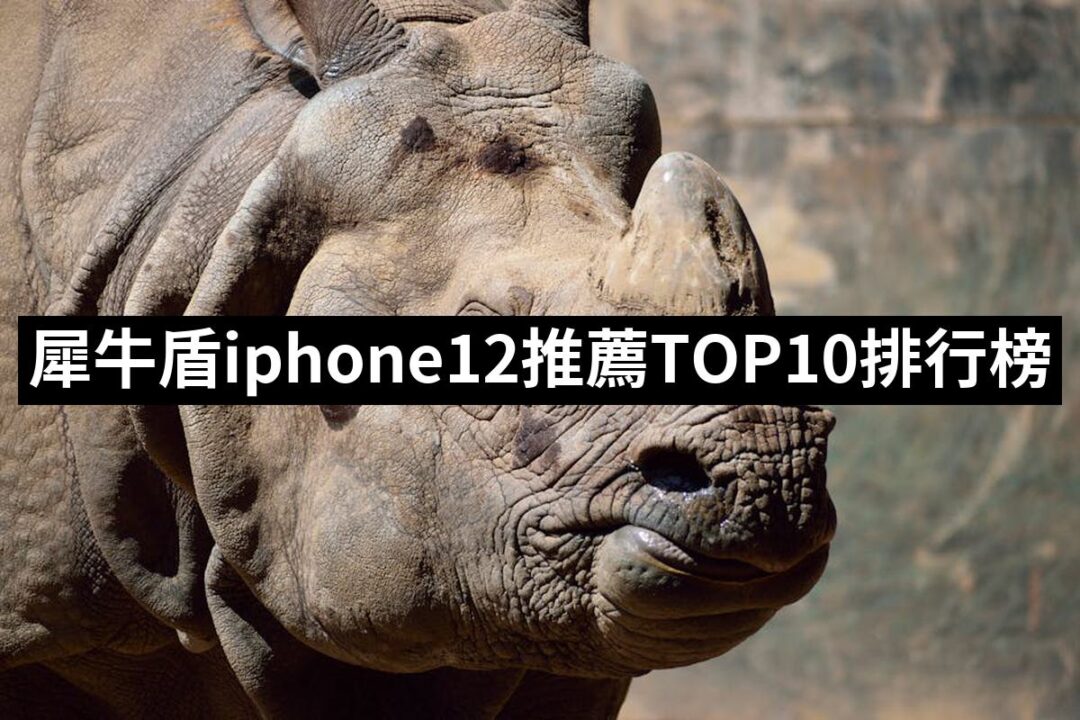 2024犀牛盾iphone12推薦10款高評價犀牛盾iphone12品牌排行 | 好吃美食的八里人