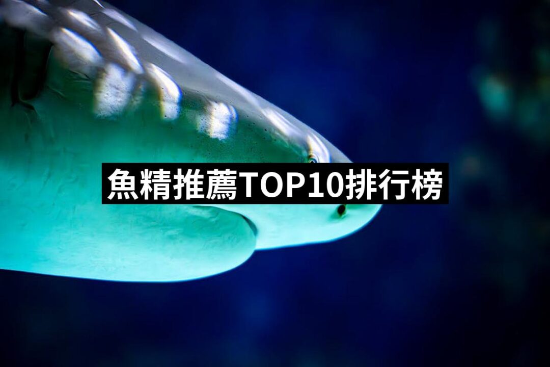 2024魚精推薦10款高評價魚精品牌排行 | 好吃美食的八里人