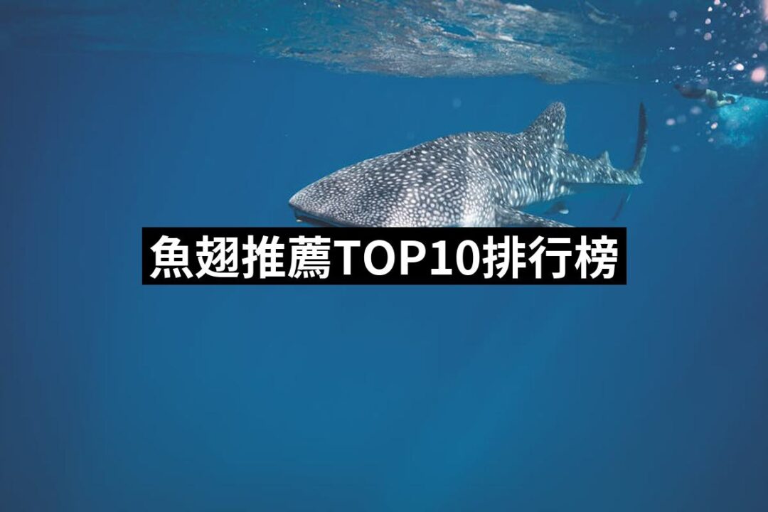 2024魚翅推薦10款高評價人氣品牌排行榜 | 好吃美食的八里人