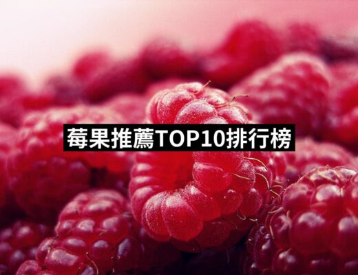 2024莓果推薦10款高評價莓果品牌排行 | 好吃美食的八里人