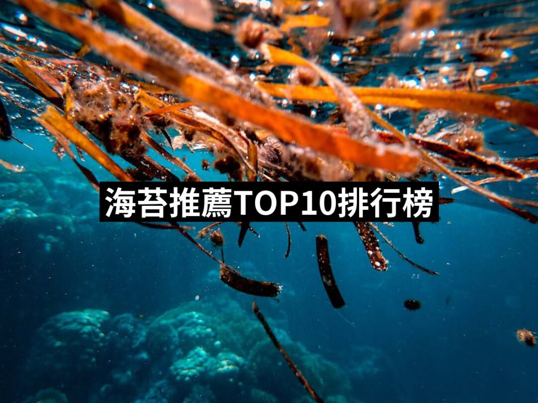 2024海苔推薦10款高評價海苔品牌排行 | 好吃美食的八里人