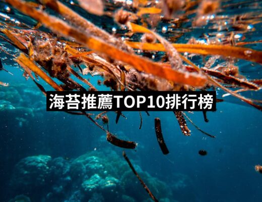 2024海苔推薦10款高評價海苔品牌排行 | 好吃美食的八里人