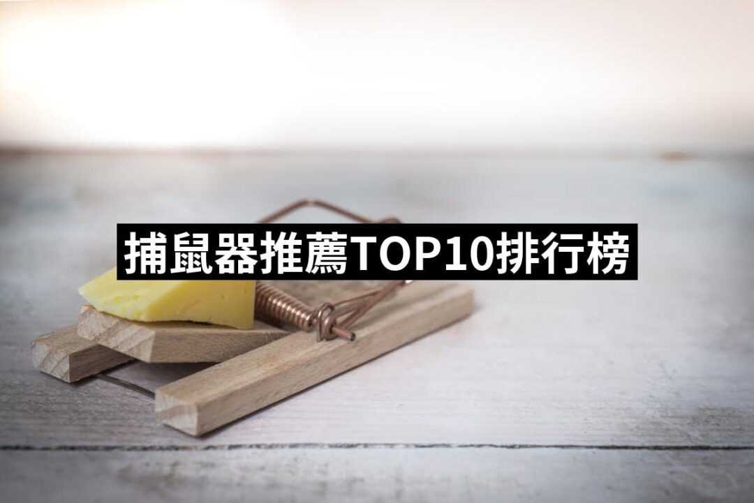 2024捕鼠器推薦ptt》10款高評價人氣品牌排行榜 | 好吃美食的八里人