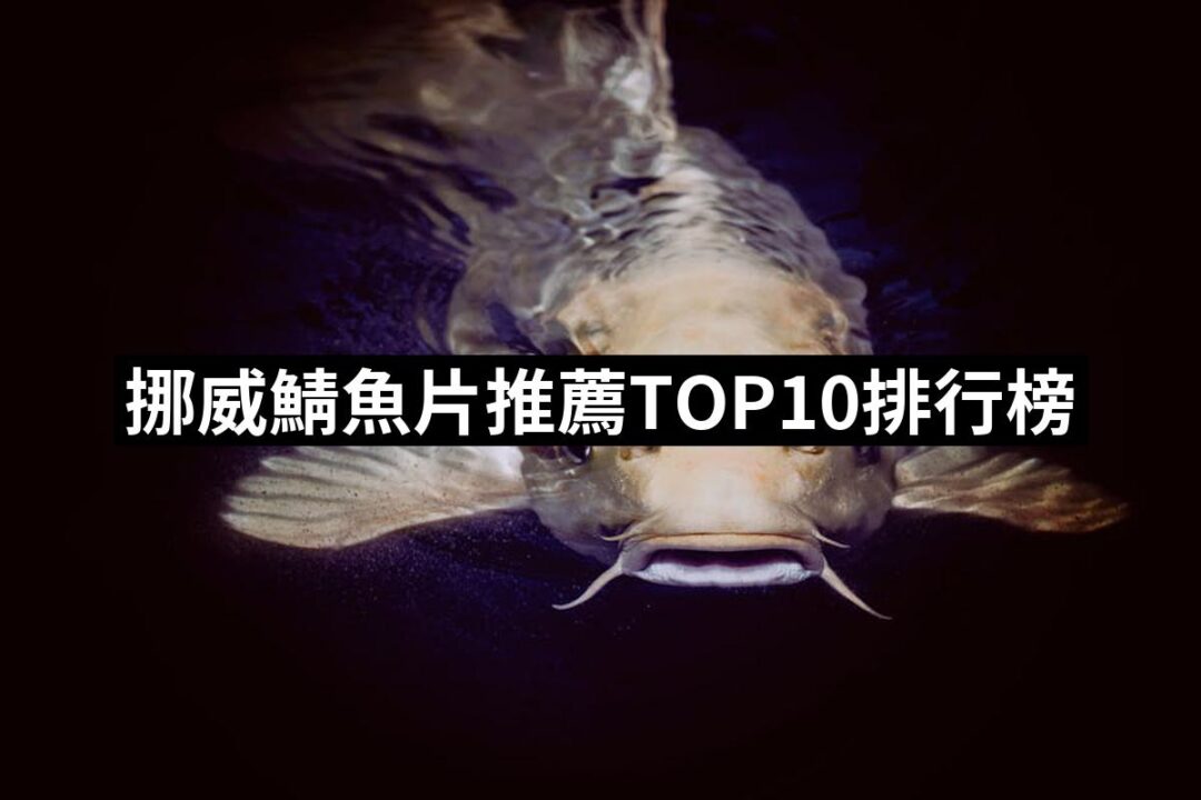 2024挪威鯖魚片推薦10款高評價挪威鯖魚片品牌排行 | 好吃美食的八里人