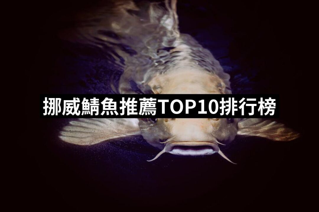 2024挪威鯖魚推薦ptt》10款高評價人氣品牌排行榜 | 好吃美食的八里人