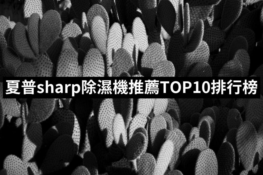 2024夏普sharp除濕機推薦10款高評價夏普sharp除濕機品牌排行 | 八里人的推薦文 | 好吃美食的八里人