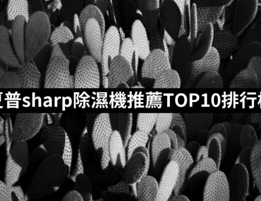 2024夏普sharp除濕機推薦10款高評價夏普sharp除濕機品牌排行 | 好吃美食的八里人