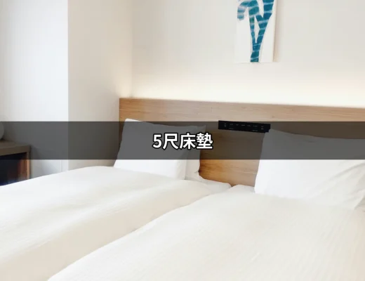 創造舒適睡眠的秘訣：深入了解5尺床墊 | 好吃美食的八里人