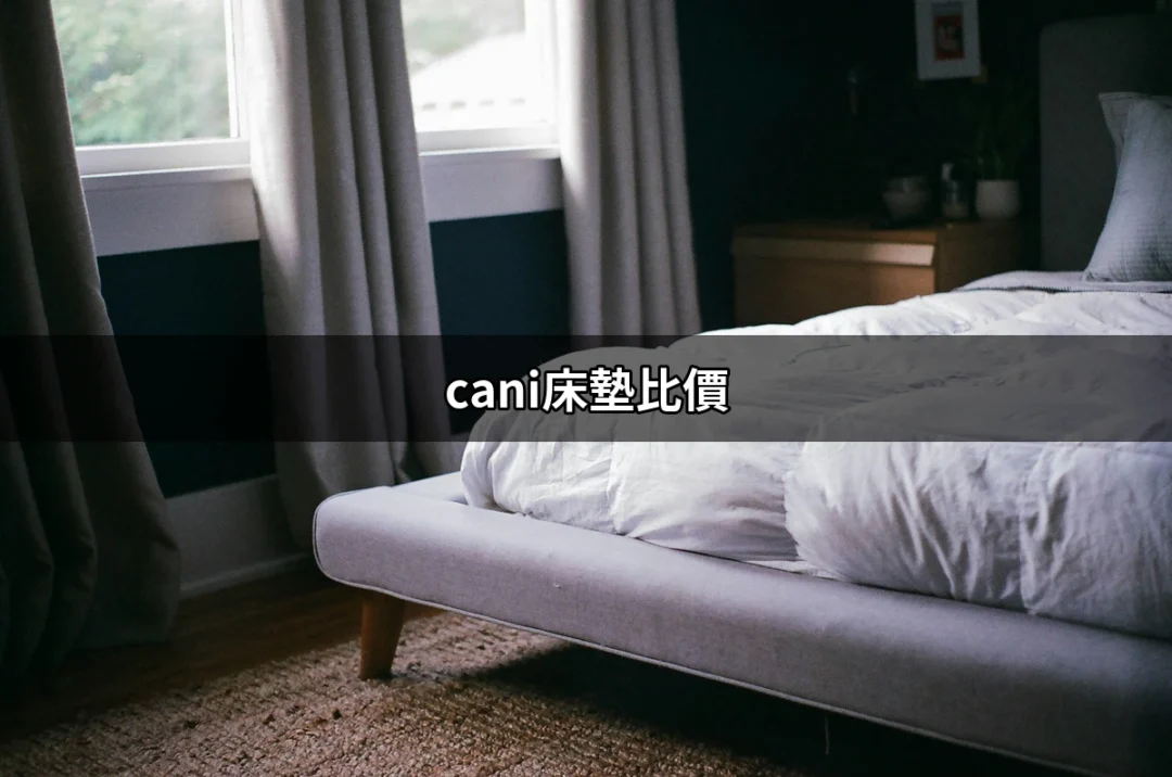 找到心儀的舒適感：Cani床墊比價指南 | 好吃美食的八里人