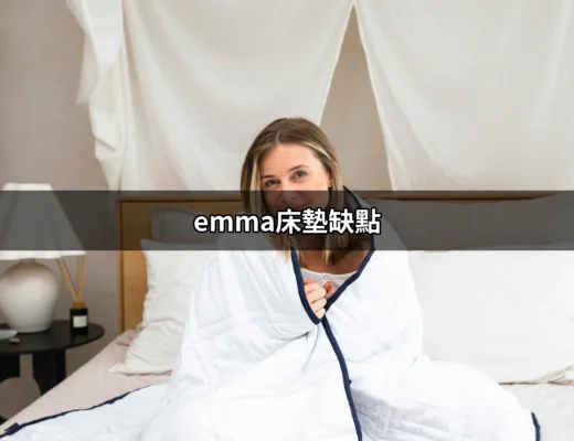 Emma床墊的缺點：消費者必知的真相 | 好吃美食的八里人