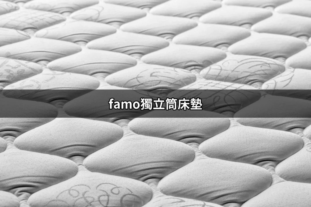 Famo獨立筒床墊：讓你一夜好眠的秘密武器 | 好吃美食的八里人