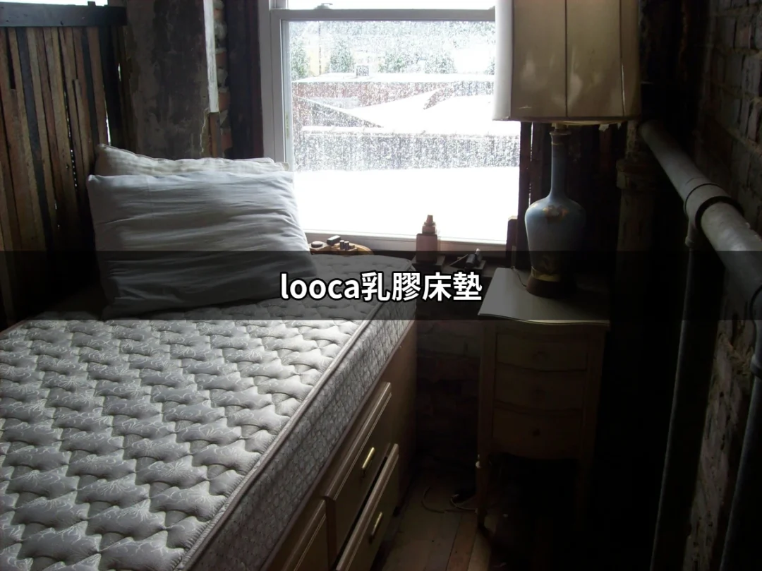 找到完美的睡眠伴侶：looca乳膠床墊全解析 | 好吃美食的八里人