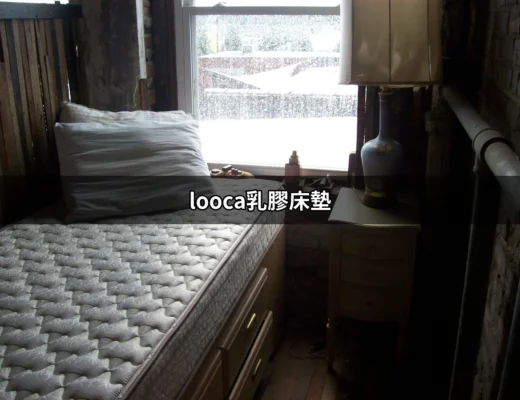 找到完美的睡眠伴侶：looca乳膠床墊全解析 | 好吃美食的八里人