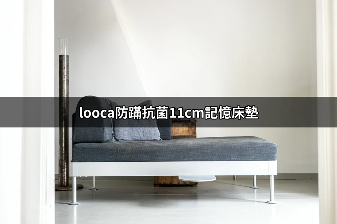 選擇舒適的睡眠伴侶：looca防蹣抗菌11cm記憶床墊的全面解析 | 好吃美食的八里人