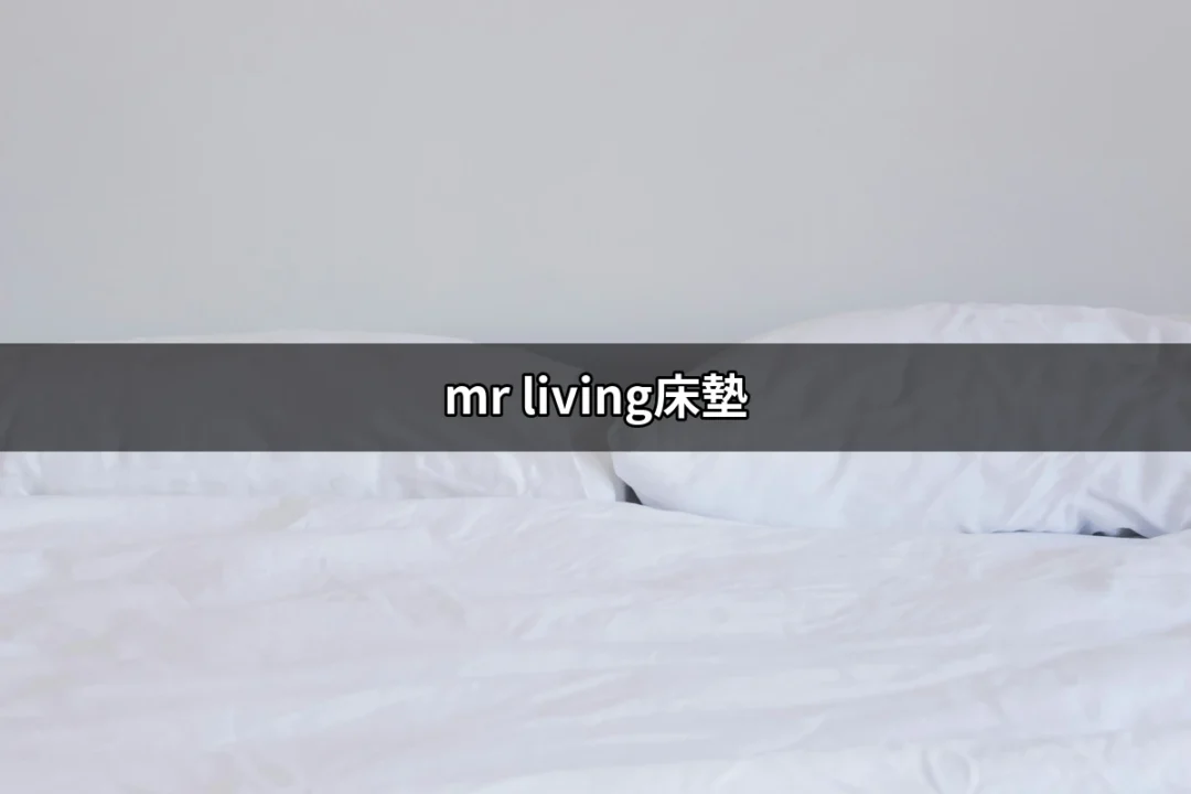 選擇舒適與健康的睡眠體驗：MR LIVING床墊推薦 | 好吃美食的八里人