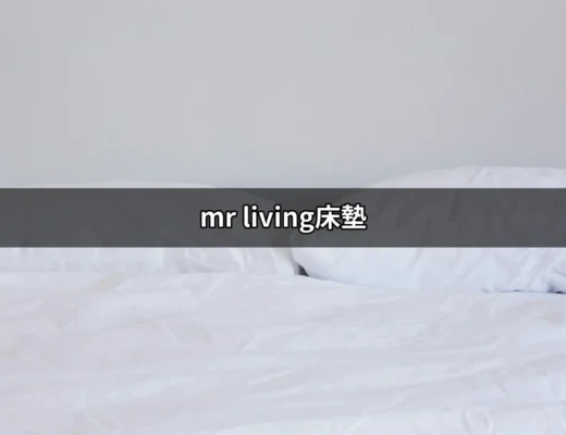 選擇舒適與健康的睡眠體驗：MR LIVING床墊推薦 | 好吃美食的八里人