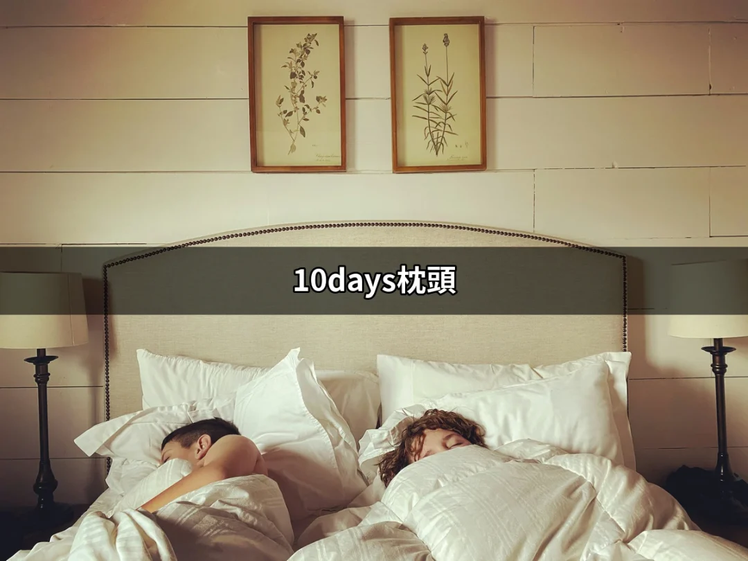 為何選擇10days枕頭能改善你的睡眠質量？ | 好吃美食的八里人