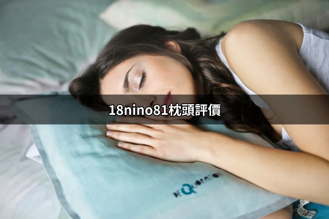 18NINO81枕頭評價：探討舒適睡眠的理想選擇 | 好吃美食的八里人