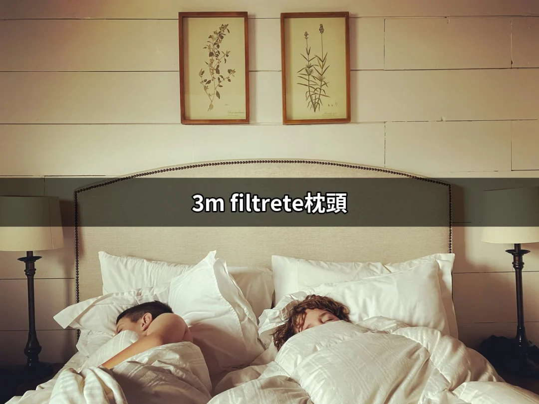 選擇3M Filtrete枕頭，為您的睡眠加分 | 好吃美食的八里人