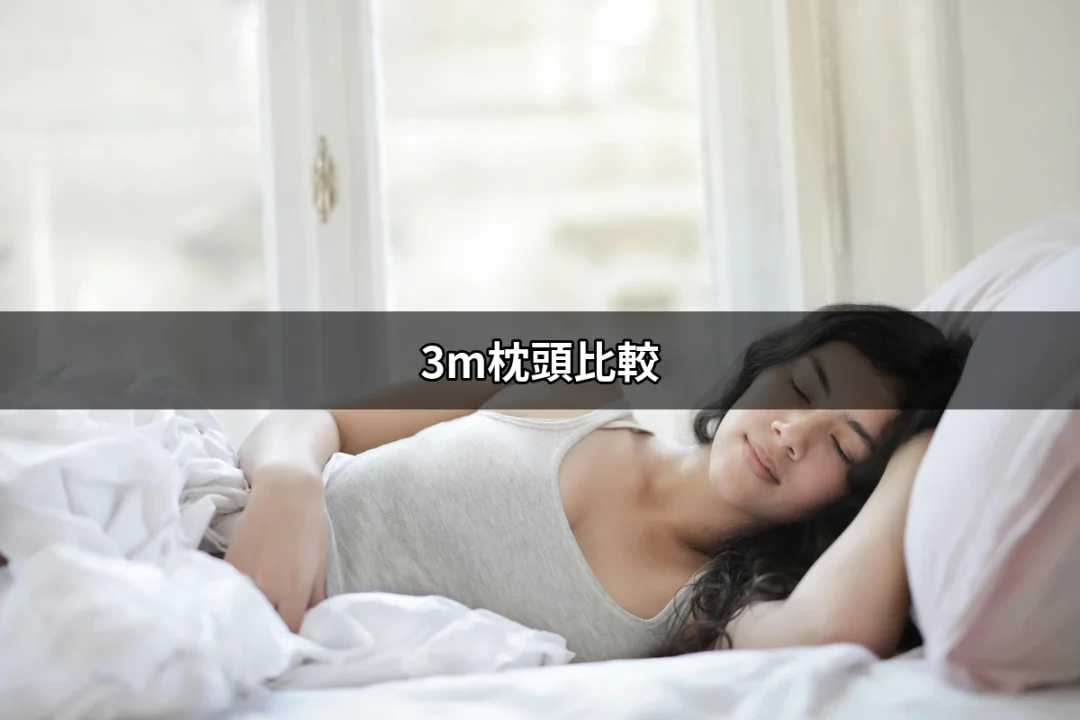 3M枕頭比較：最佳睡眠體驗的選擇 | 好吃美食的八里人