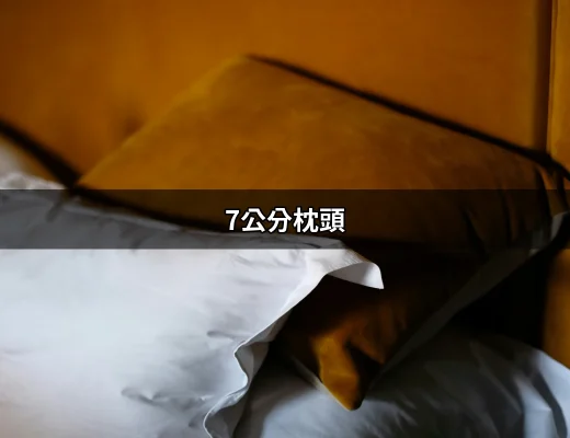 7公分枕頭：完美支撐你的睡眠之選 | 好吃美食的八里人