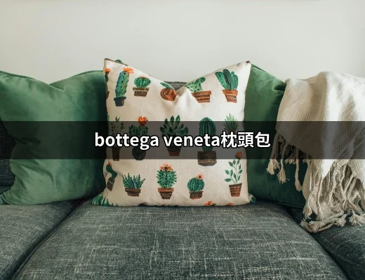 Bottega Veneta枕頭包：時尚界的新寵兒 | 好吃美食的八里人