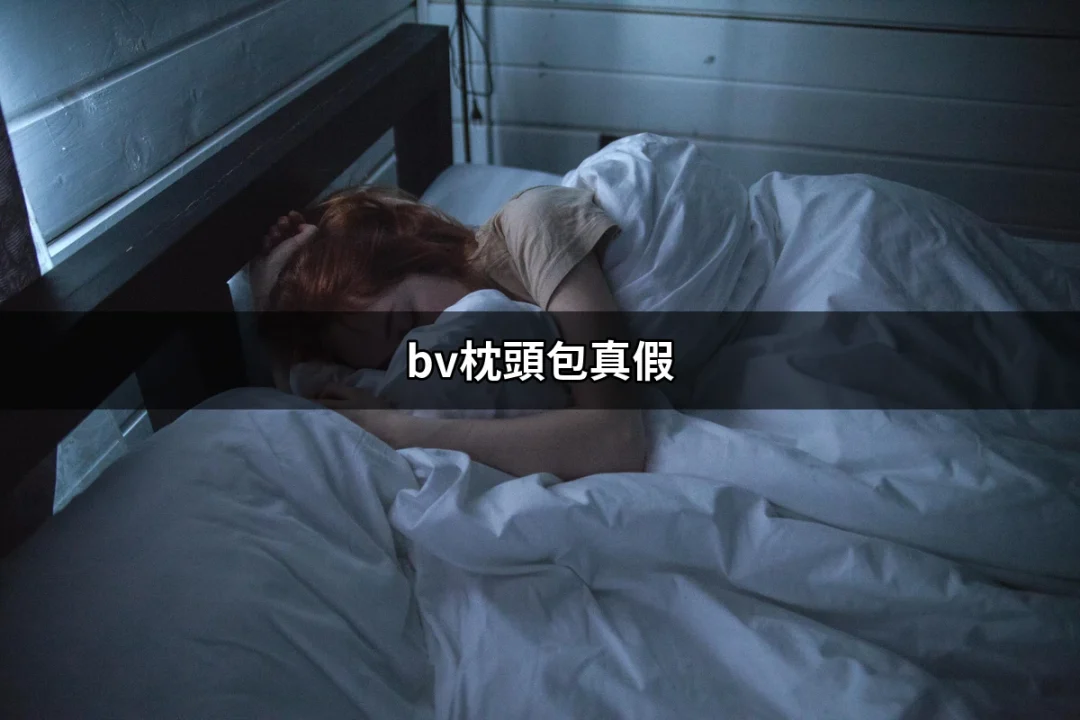 鑑別BV枕頭包真假的完全指南 | 好吃美食的八里人