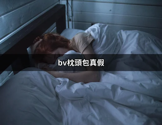 鑑別BV枕頭包真假的完全指南 | 好吃美食的八里人