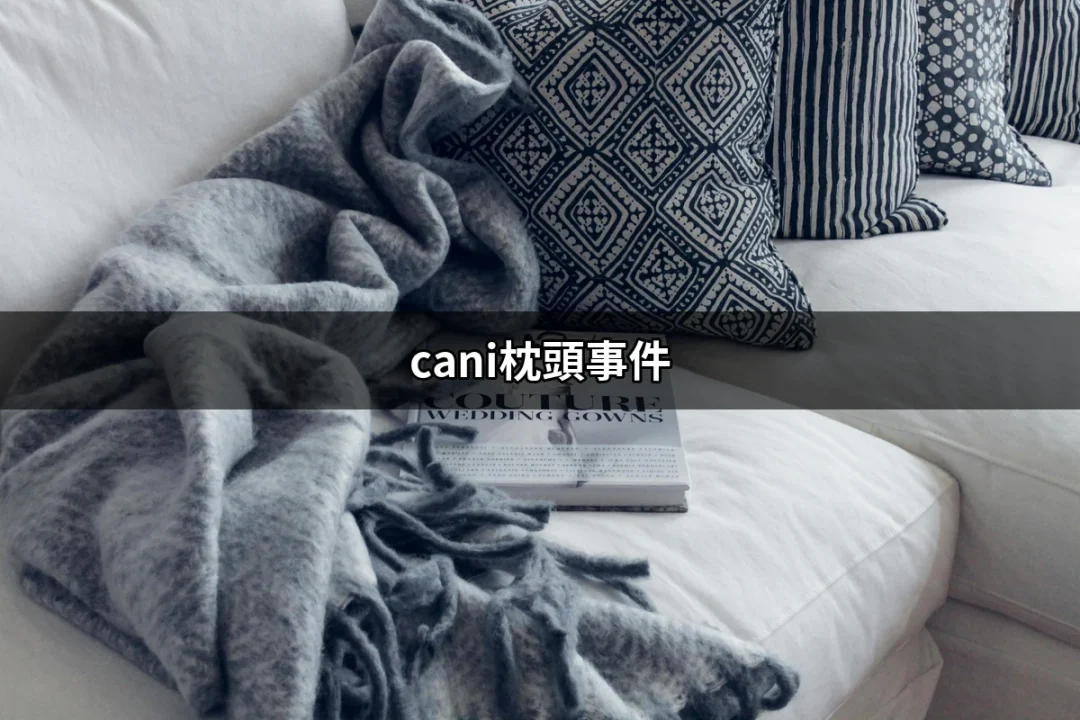 Cani枕頭事件：討論與反思 | 好吃美食的八里人