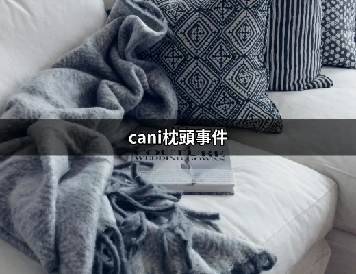 Cani枕頭事件：討論與反思 | 好吃美食的八里人